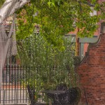 Bamboo and Wrought Iron Table