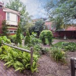 Lush Plants and Charming Details