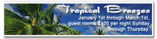 Tropical Breezes Special