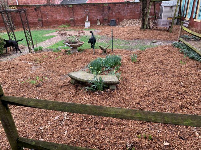 courtyard garden