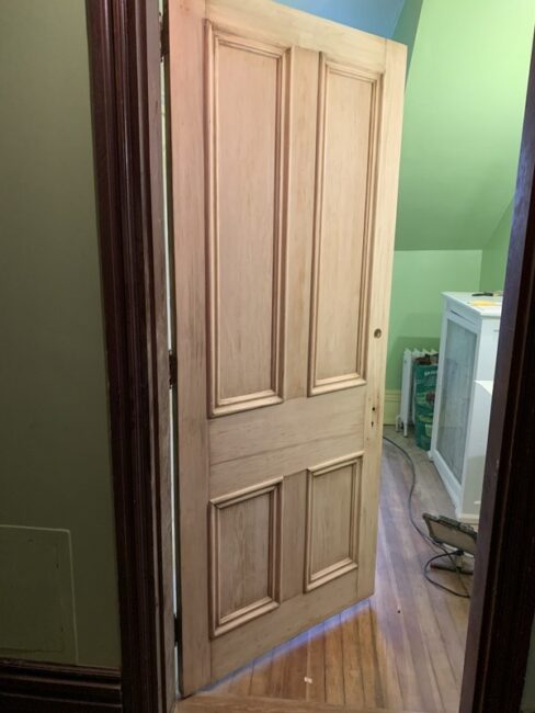 Lady Palm bathroom door stripped