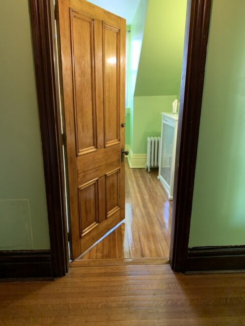 Lady Palm bathroom floor and door